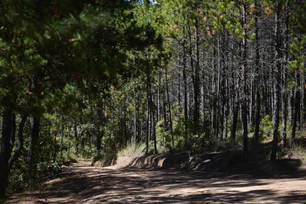 Ejido Sierra de Agua Project