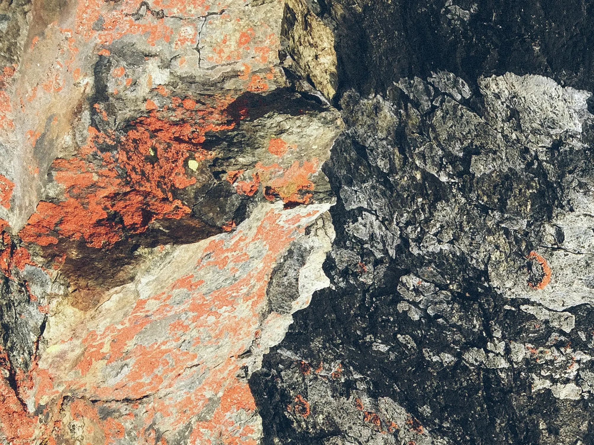 frontier carbon