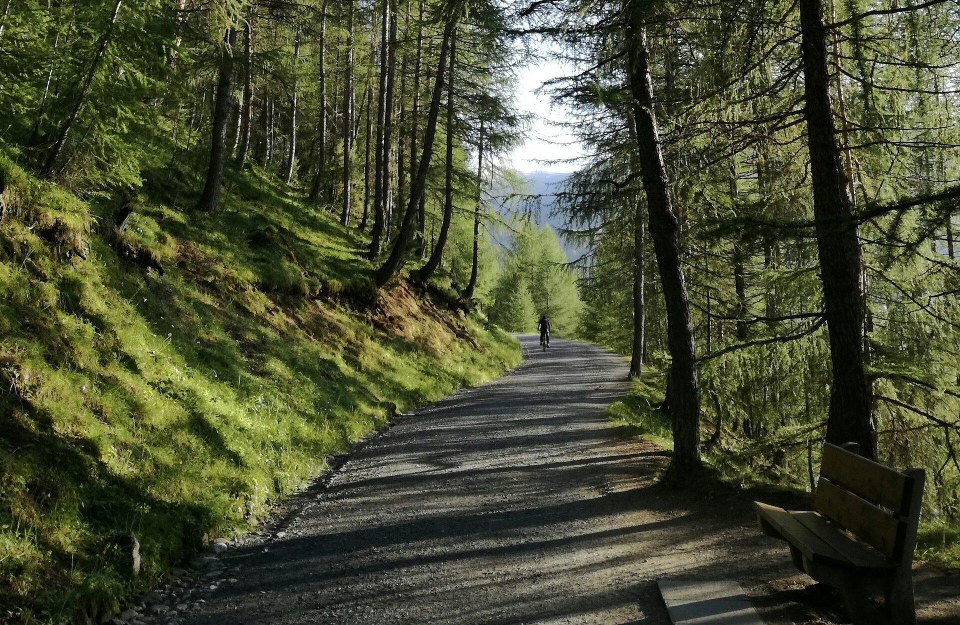 10 Simple Ways to Reduce Your Carbon Footprint Today 1 verified carbon offsets