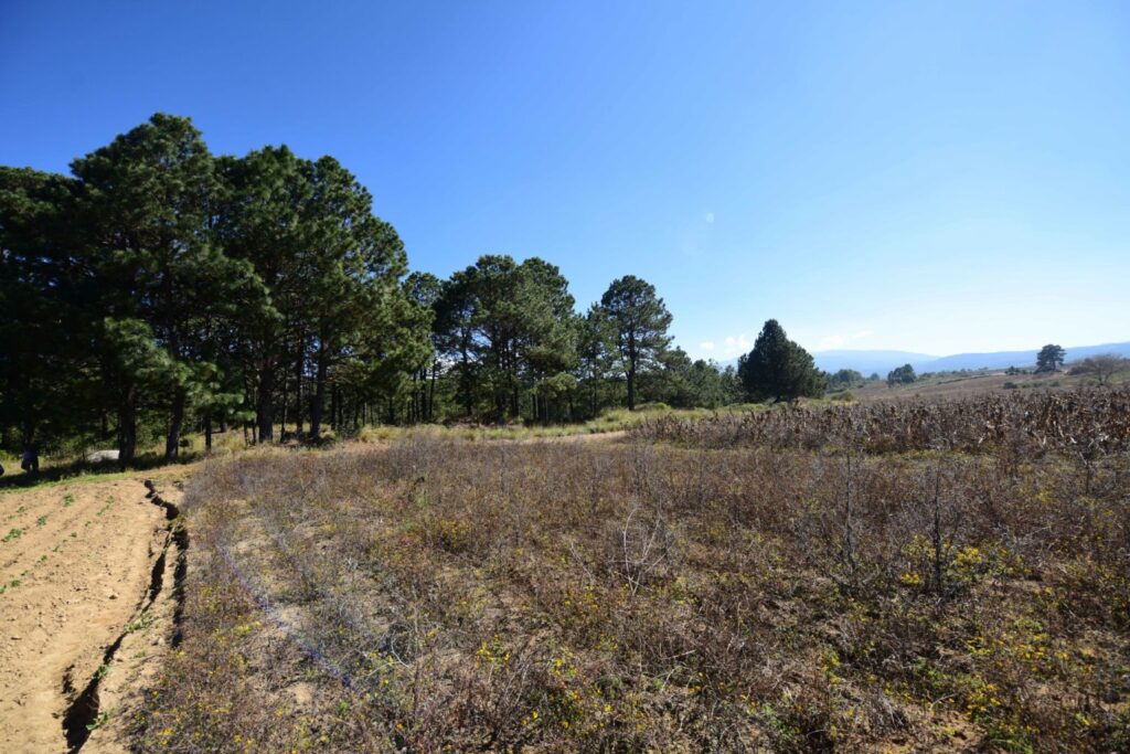 Ejido Sierra de Agua