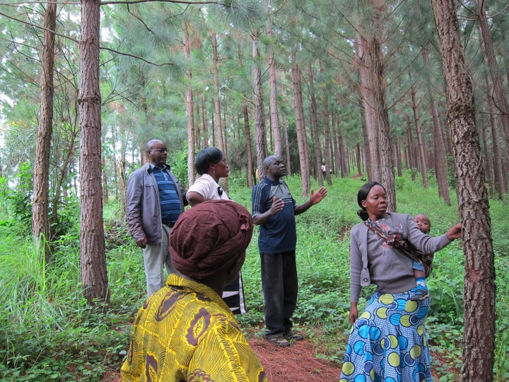 TIST Program in Uganda