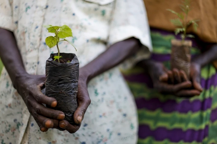 TIST Program in Uganda