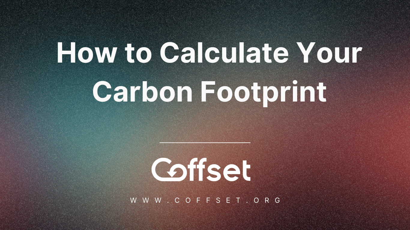 Comment calculer votre empreinte carbone : Un guide facile, étape par étape 1 calculate your carbon footpring