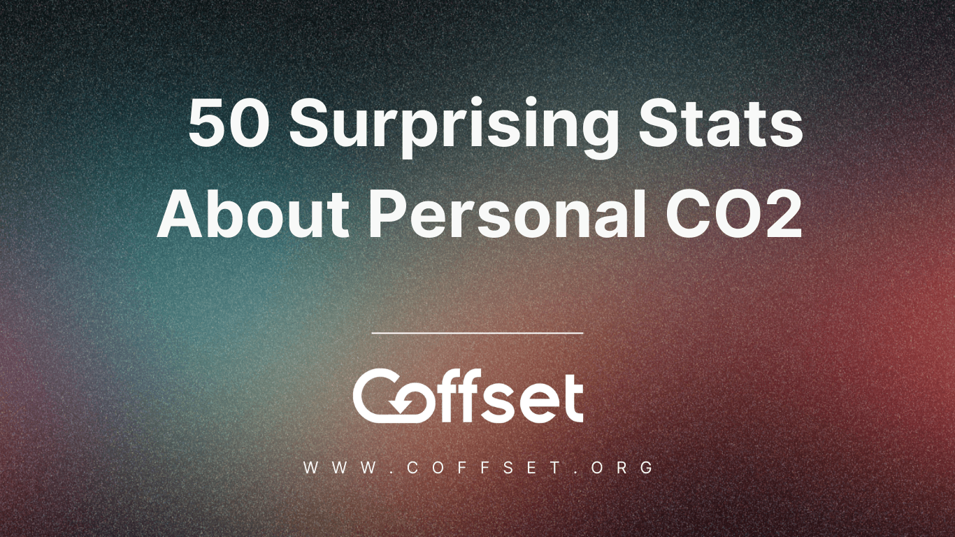 50 Surprising Stats About Personal CO2 Emissions You Should Know