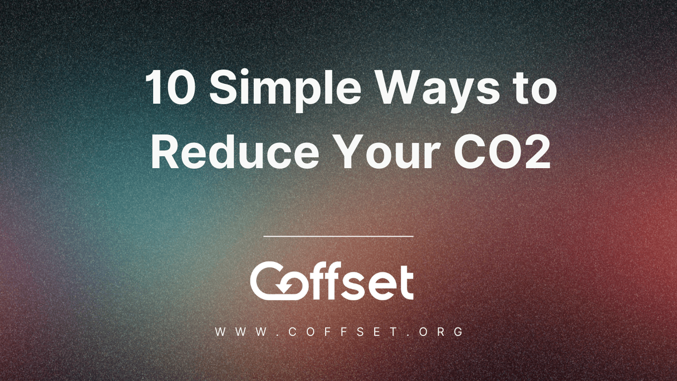 10 Simple Ways to Reduce Your Carbon Footprint Today 1 10 Simple Ways to Reduce Your Carbon