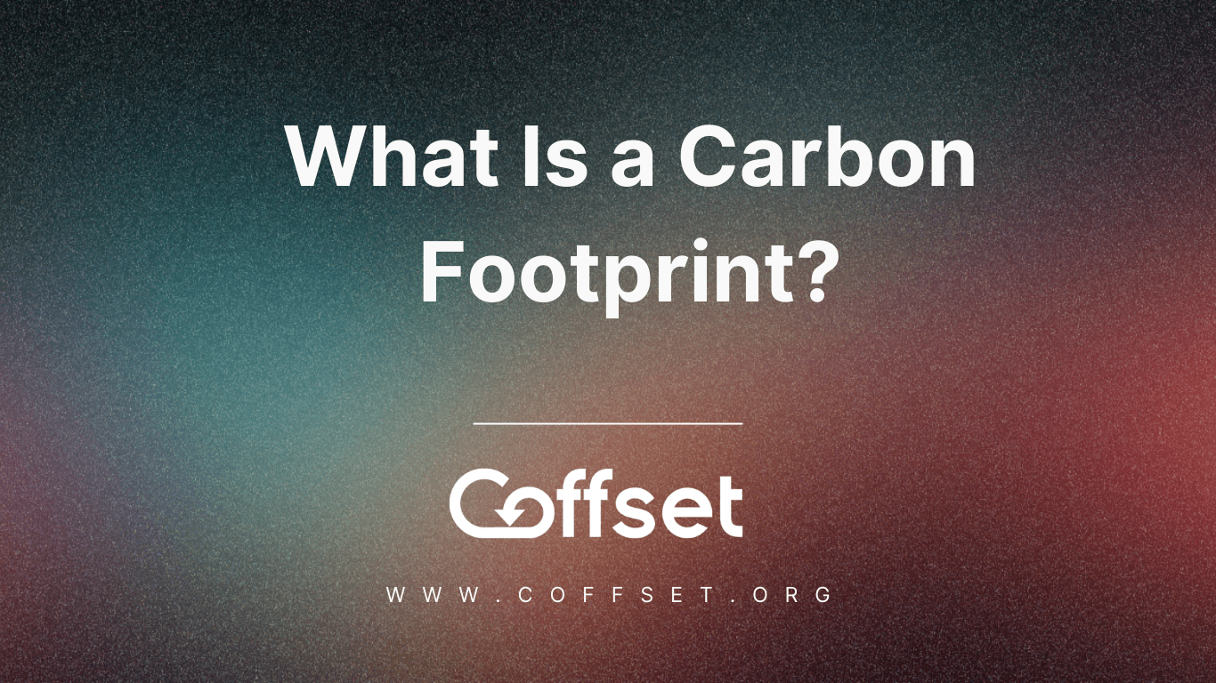 What Is a Carbon Footprint?