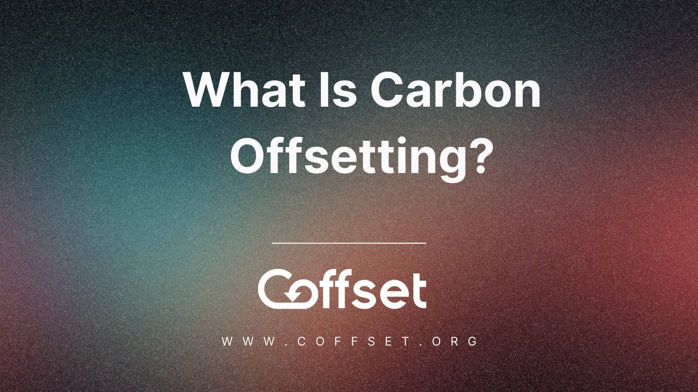 What Is Carbon Offsetting?