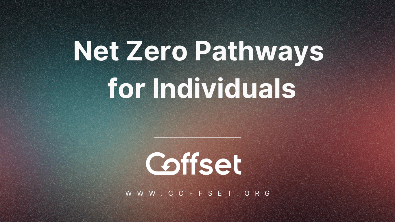 Net Zero Pathways for Individuals