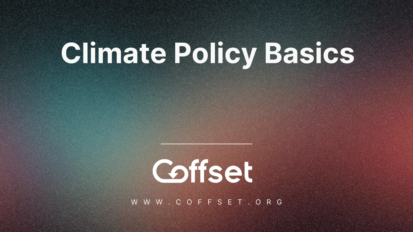 Climate Policy Basics for Individuals