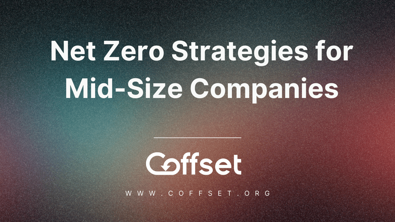 Net Zero Strategies for Mid-Size Companies