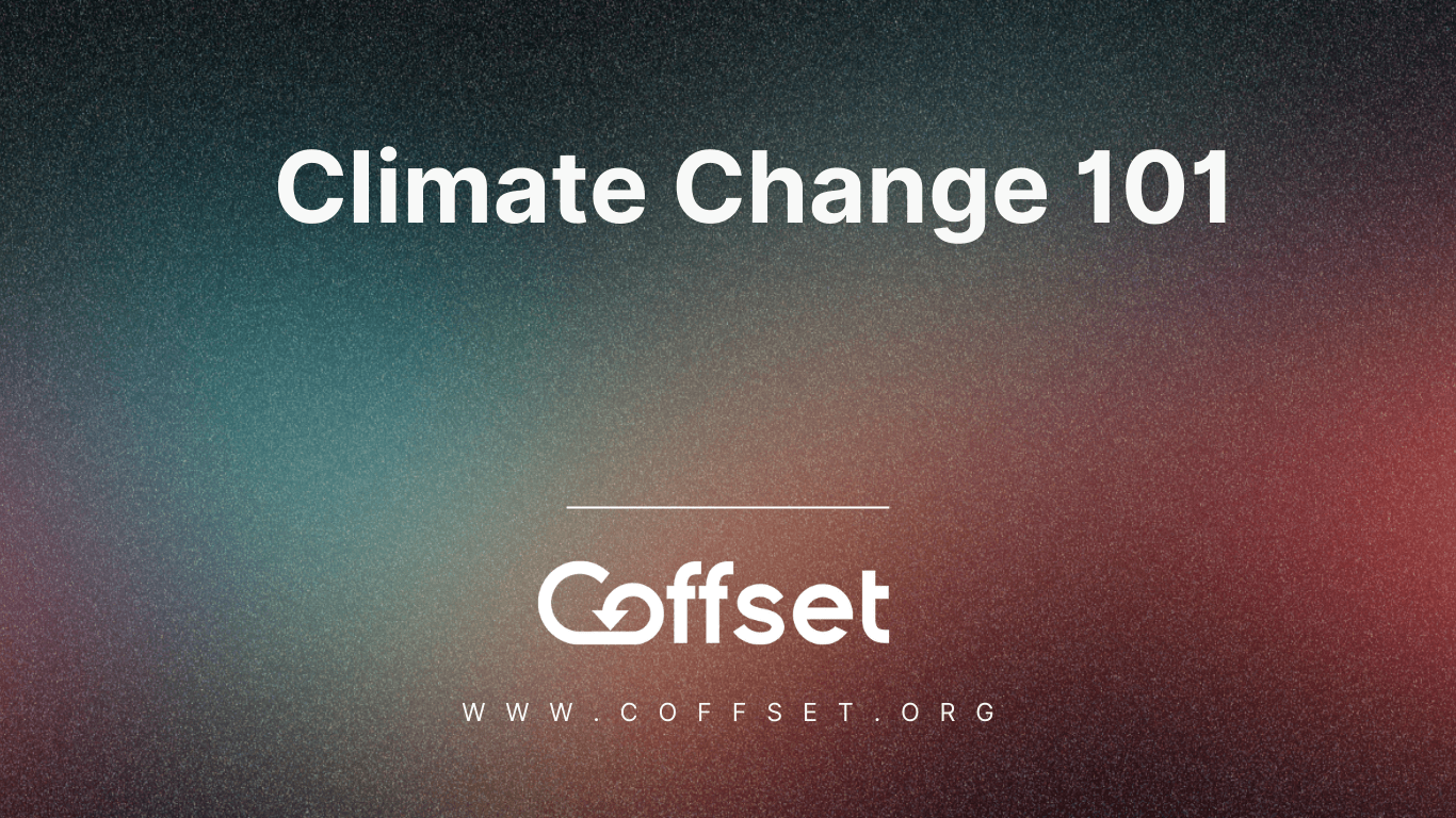 Climate Change 101: Causes, Impacts, Solutions