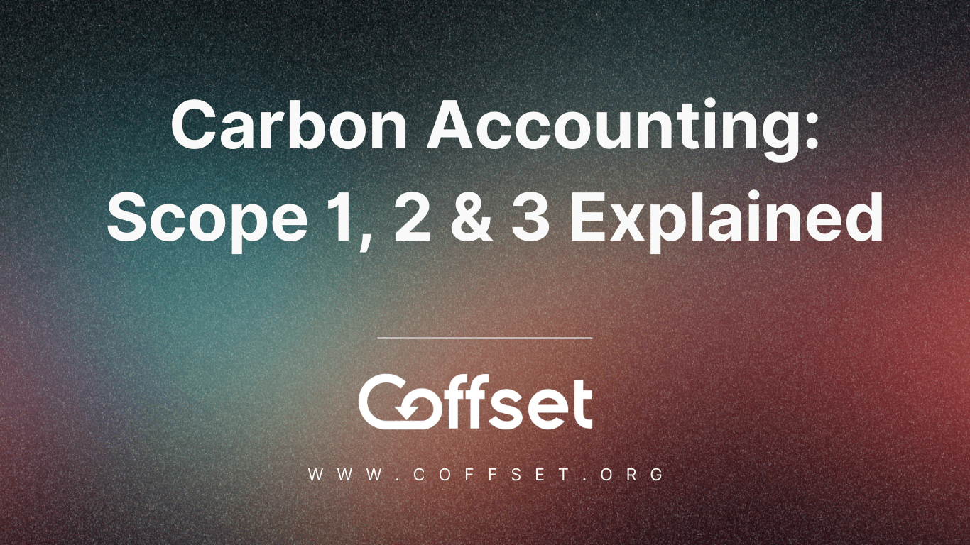 Carbon Accounting: Scope 1, 2 & 3 Explained