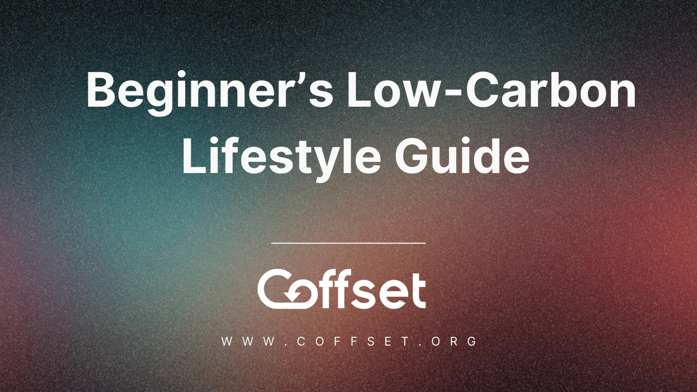 Beginner’s Low-Carbon Lifestyle Guide for Sustainable Living